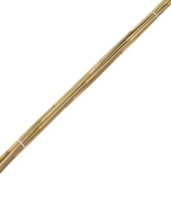 Bambusst&aelig;nger/blomsterpinde til haven &Oslash; 0,5-1,0 cm x 170-175 cm