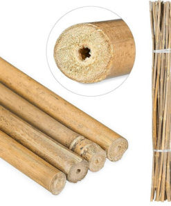 Tonkin Cane &Oslash; 18-22 mm x 240 cm
